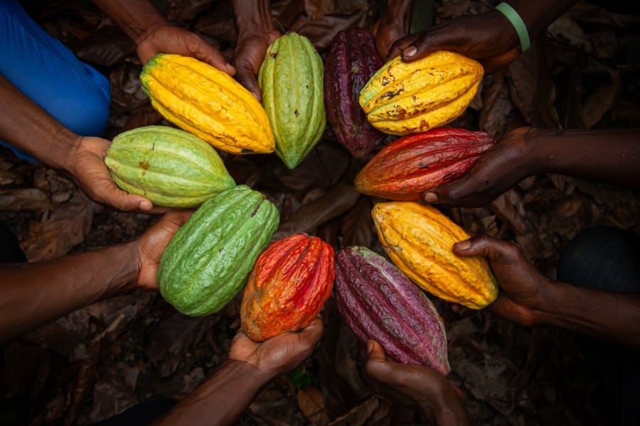 WCF president Chris Vincent talks exclusively to ConfectioneryNews on the shifting landscape in the cocoa world