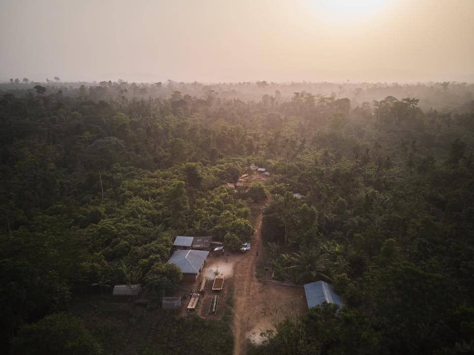 How biochar, ‘agriculture's black gold’, is helping cocoa trees to thrive