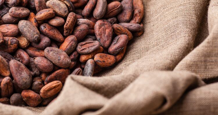 Ofi calls for EU to work with other regions on cocoa sustainability legislation