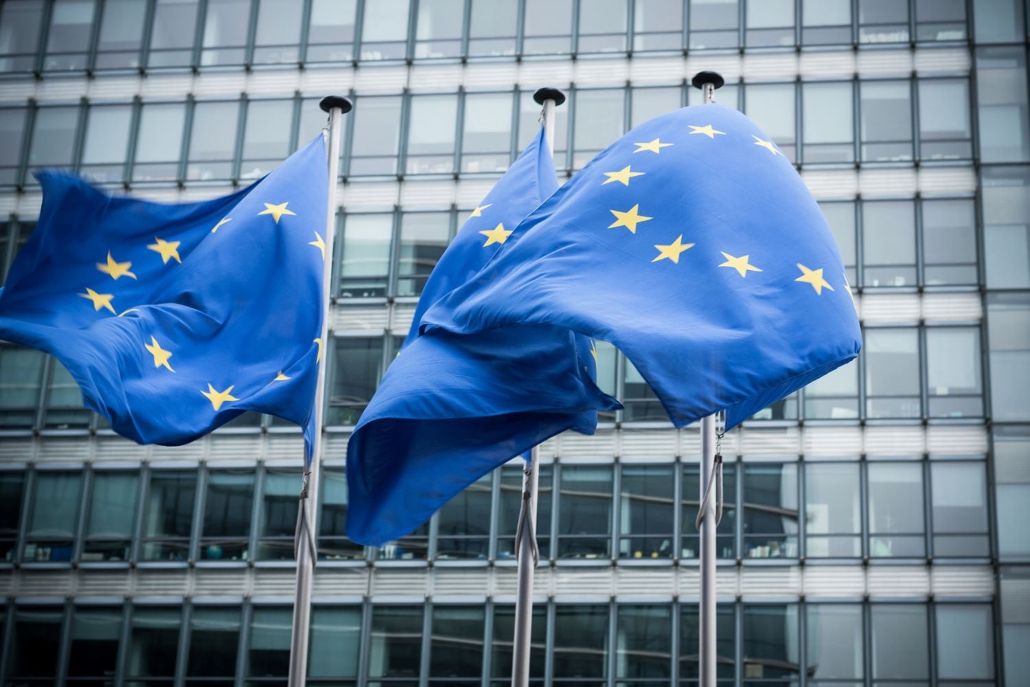 EC-responds-to-urgent-call-for-EUDR-update.jpg