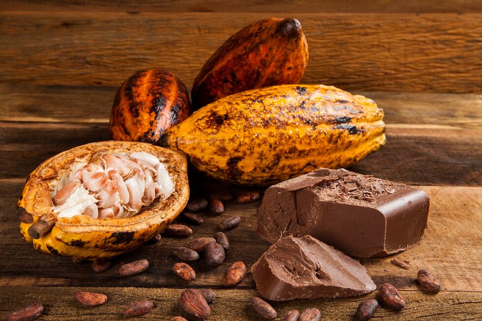 Cargill posts rising fiscal 2018 revenue; makes progress in cocoa sustainability