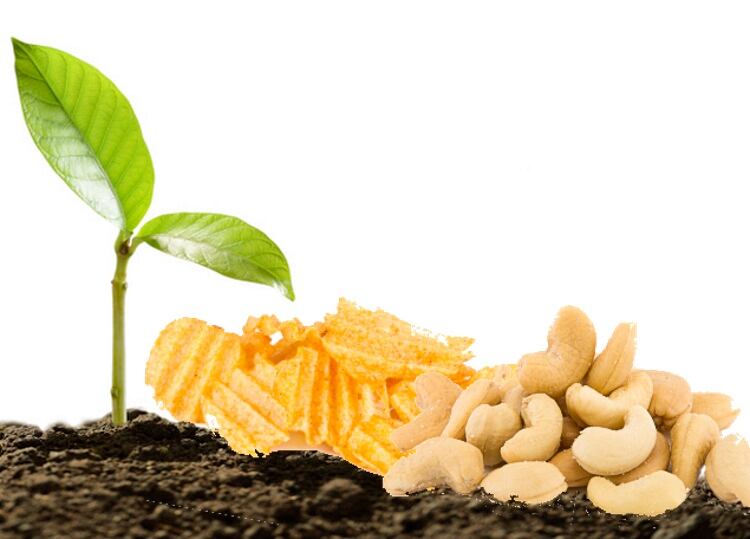 Globally-recognized plant-based certification will meet snacking trends
