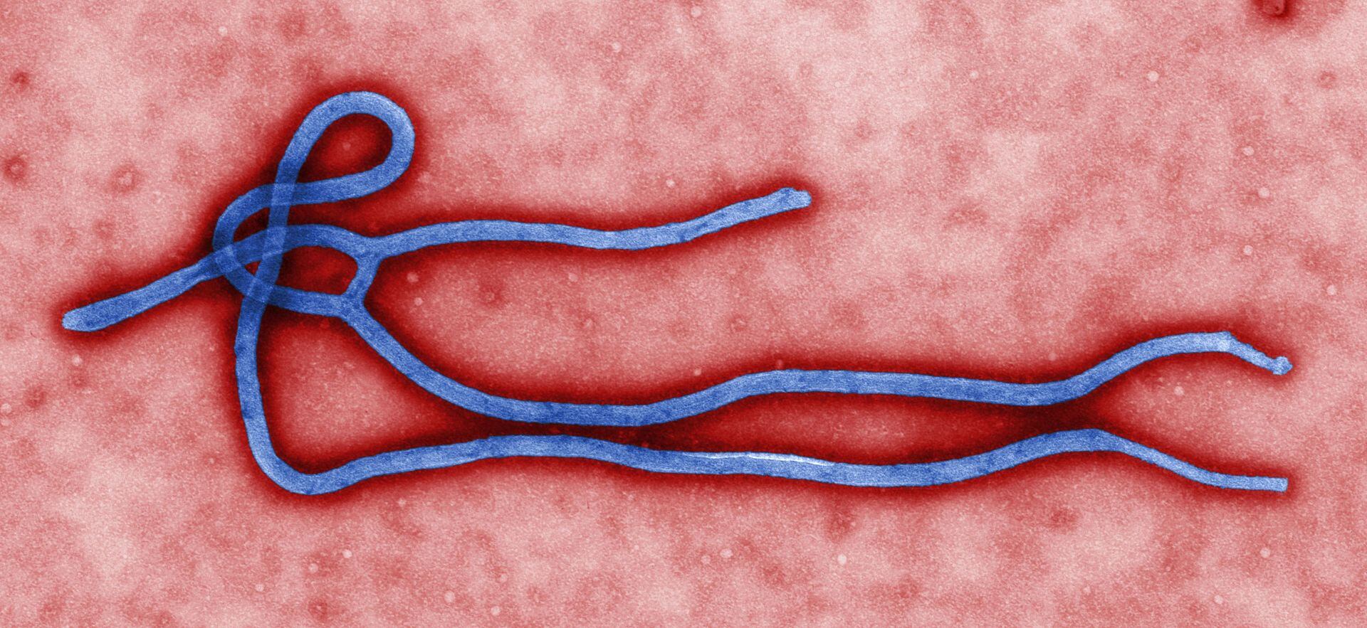 ebola-cdc.jpg