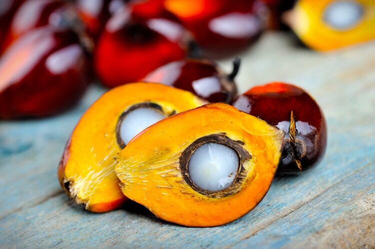 Germany’s confectionery industry leads the way in sustainable palm oil use