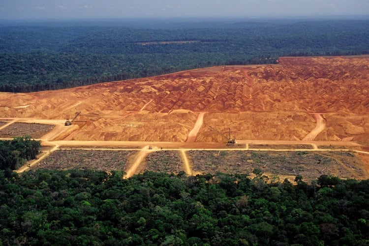 Deforestation