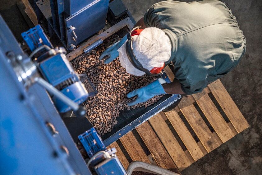 MIA-chocolate-cocoa-factory.jpg