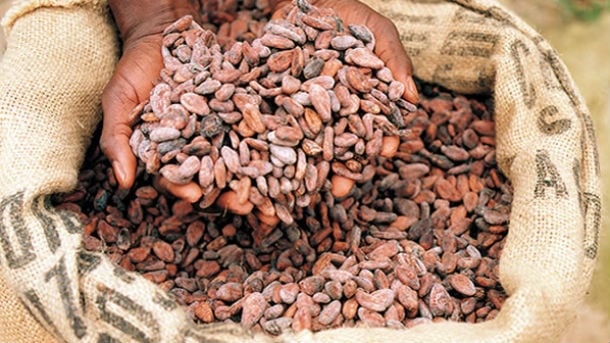Agreement by Côte d'Ivoire and Ghana to introduce new minimum floor price for cocoa fails