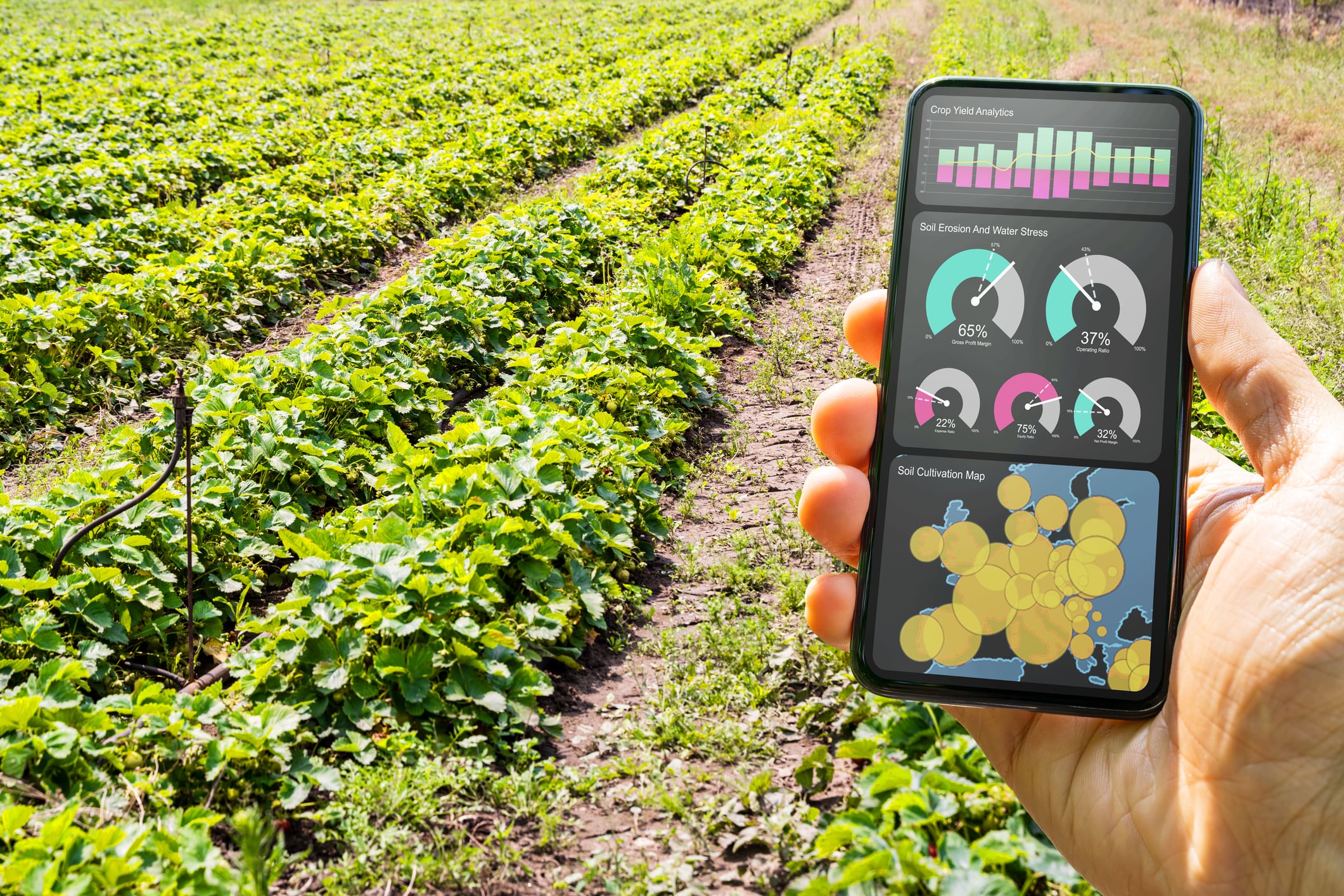 Collaborative approaches – where farmers, researchers, and technology providers work together from the earliest stages – can help ensure solutions are practical, user-friendly, and address real-world challenges, say experts