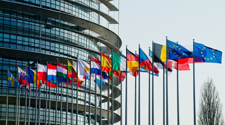 Will EU legislation usher in a new era for cocoa sustainability?