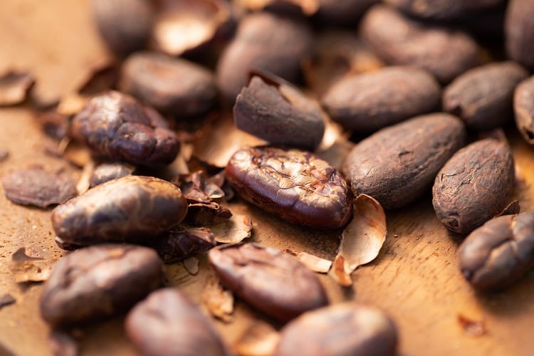 Nestlé and Cargill partner to turn cocoa shells into low carbon fertiliser