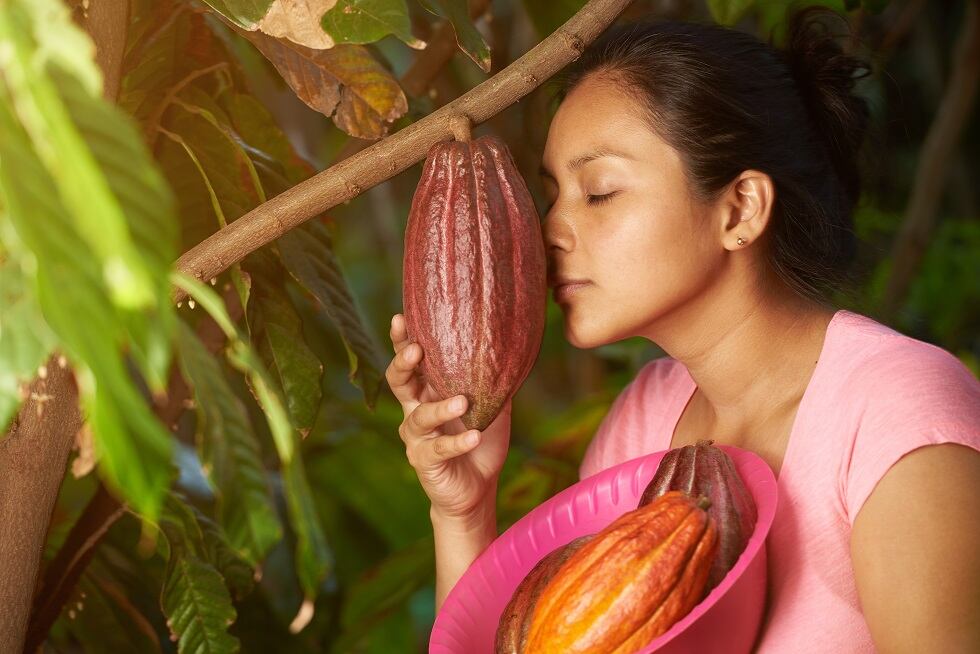 TCHO installs flavor labs to allow cocoa farmers to taste their own chocolate