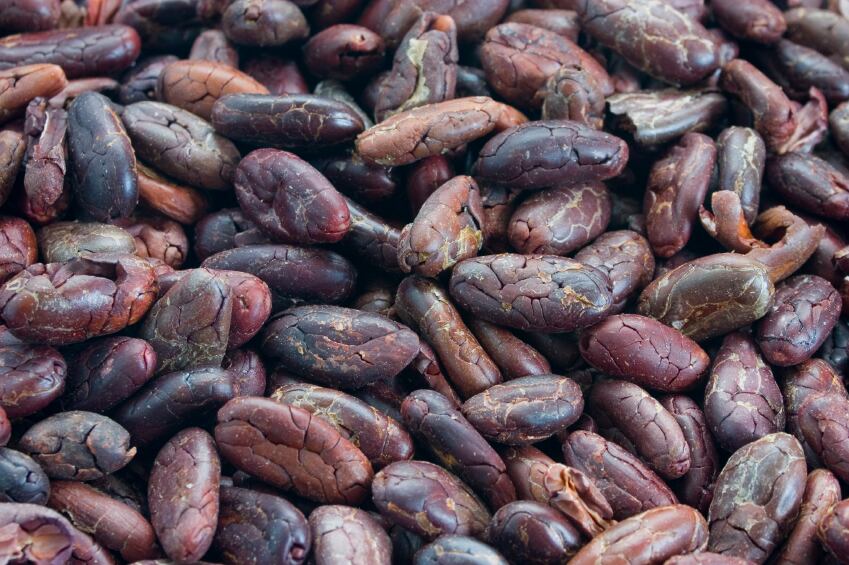 cocoa-beans-raw.jpg