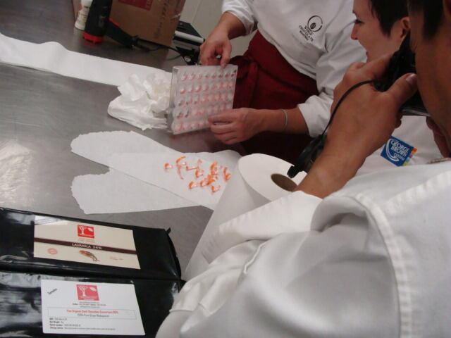 DSC02466.jpg