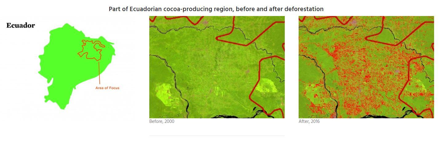ecudaor-deforestion.jpg
