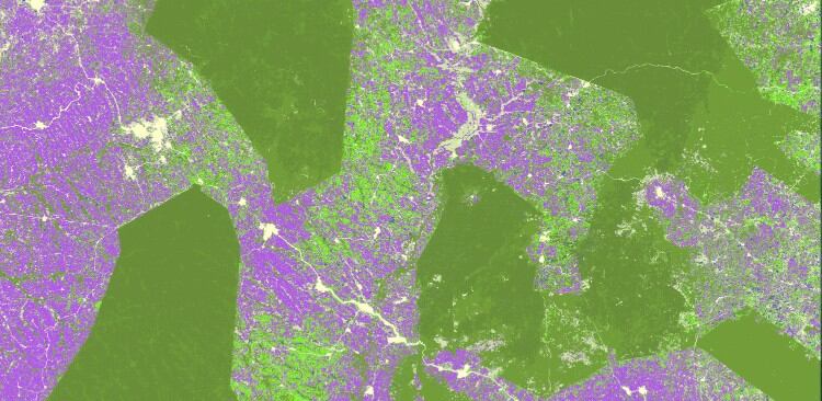 blogcocoa_1-Satelligence-750.jpg