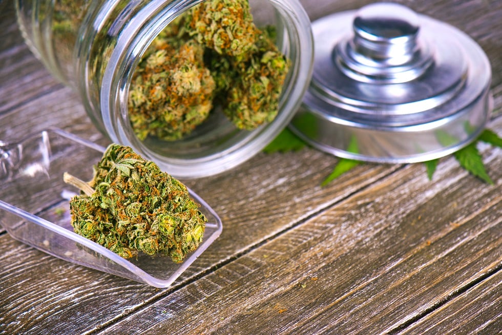 Former Wrigley gum CEO invests in medical marijuana; becomes chairman of Surterra Wellness’ board