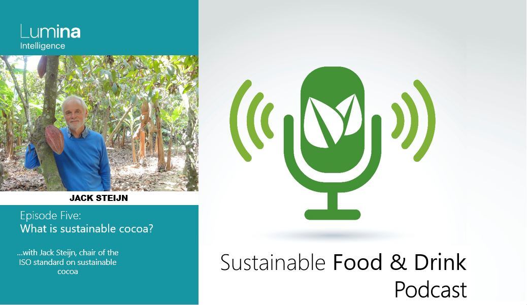 Sustainable cocoa defined: What will be the impact of the ISO standard?