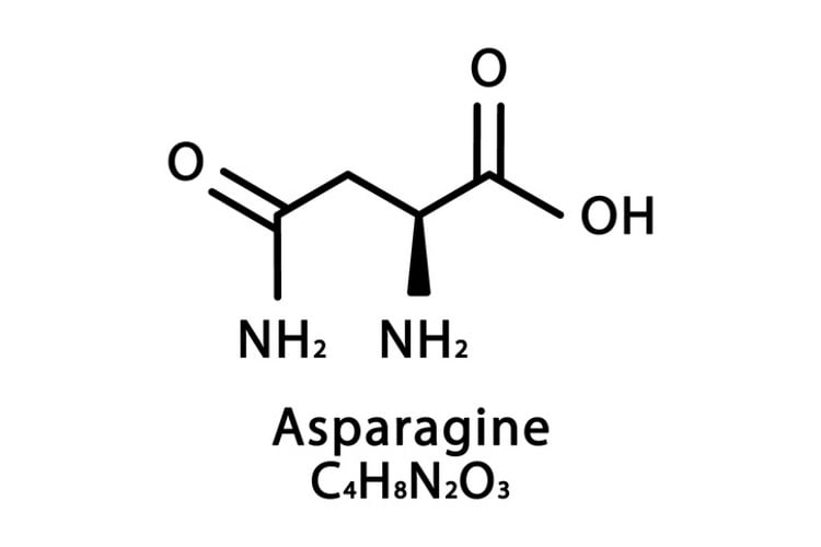 Acrylamide-science-Drypsiak.jpg