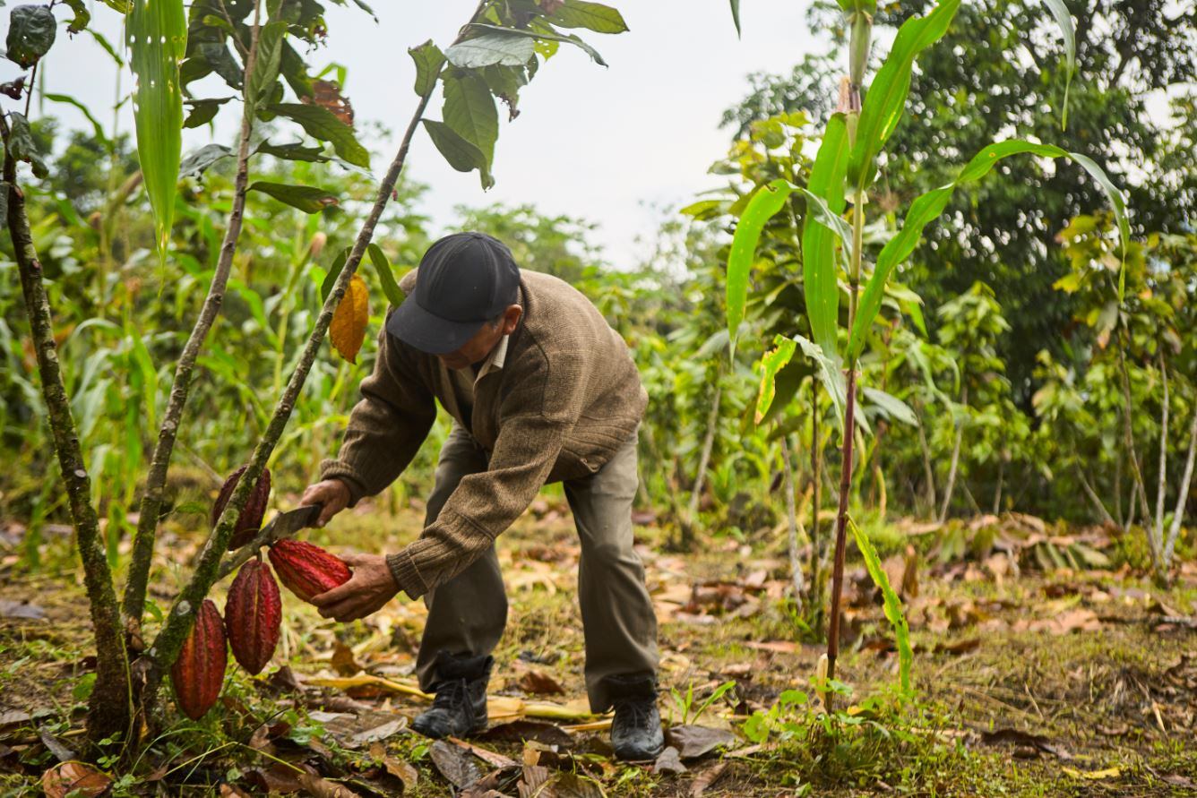 farmer-with-tree-other-bar.jpg