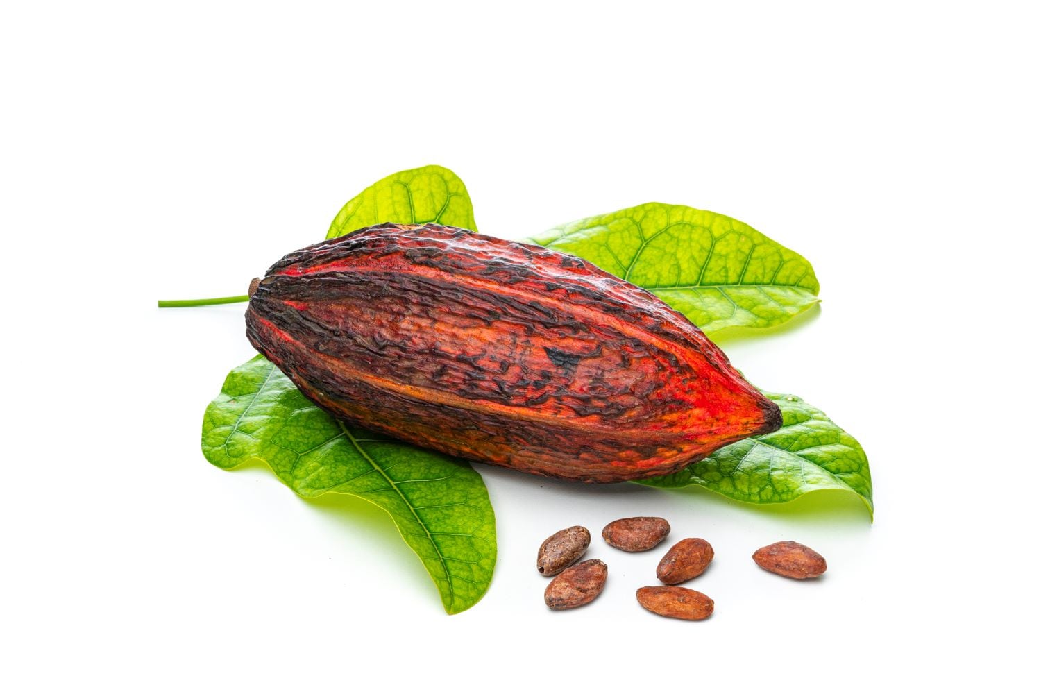 Cocoa-bean-C-Getty-Images.jpg