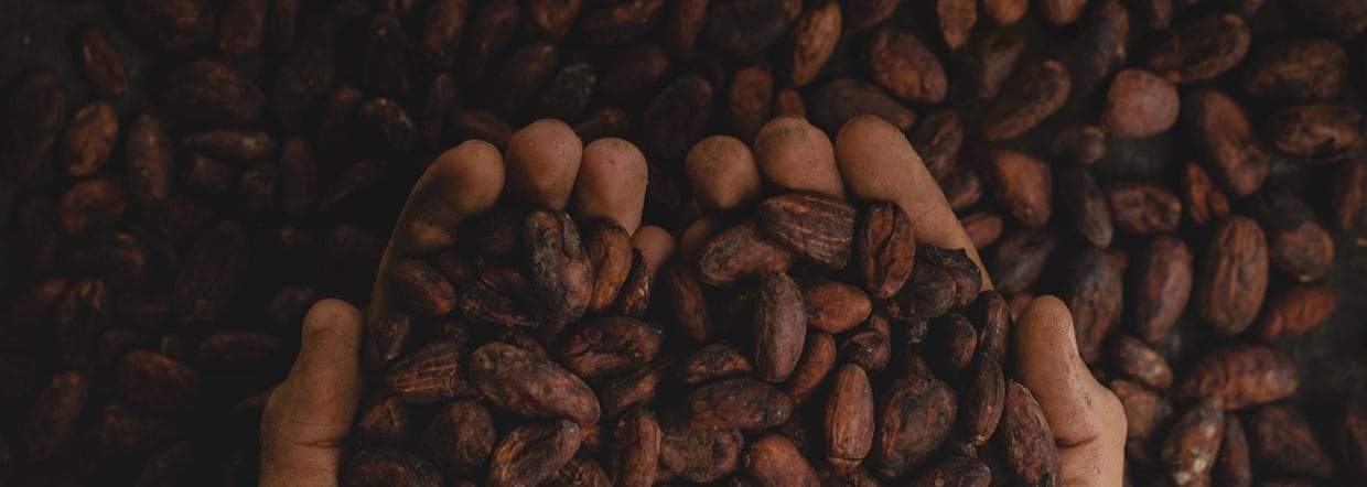 Making a meaningful impact through ethical and sustainable cocoa production