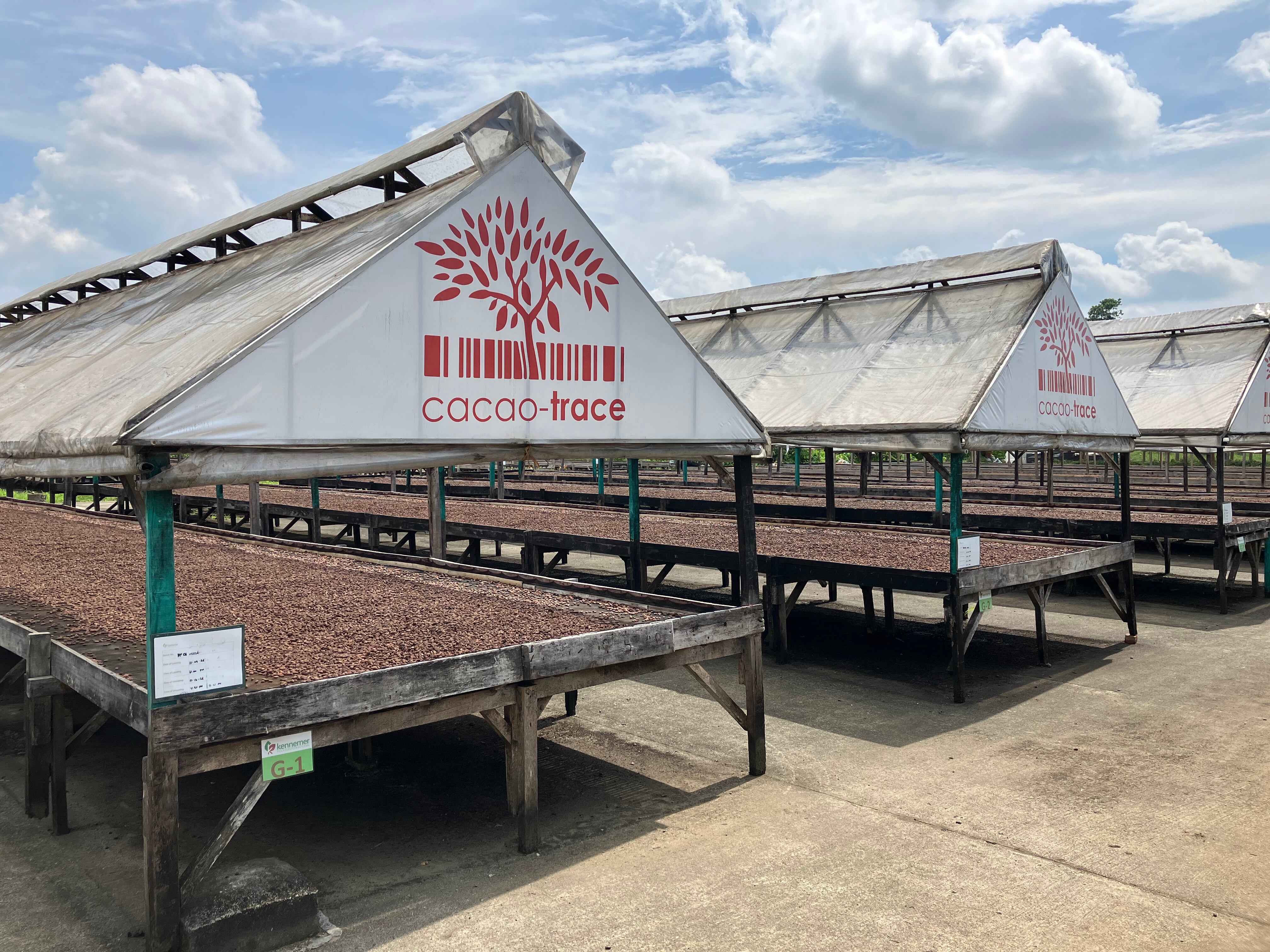 Cocoa beans drying in the sun under Cocoa-Trace funded facilities