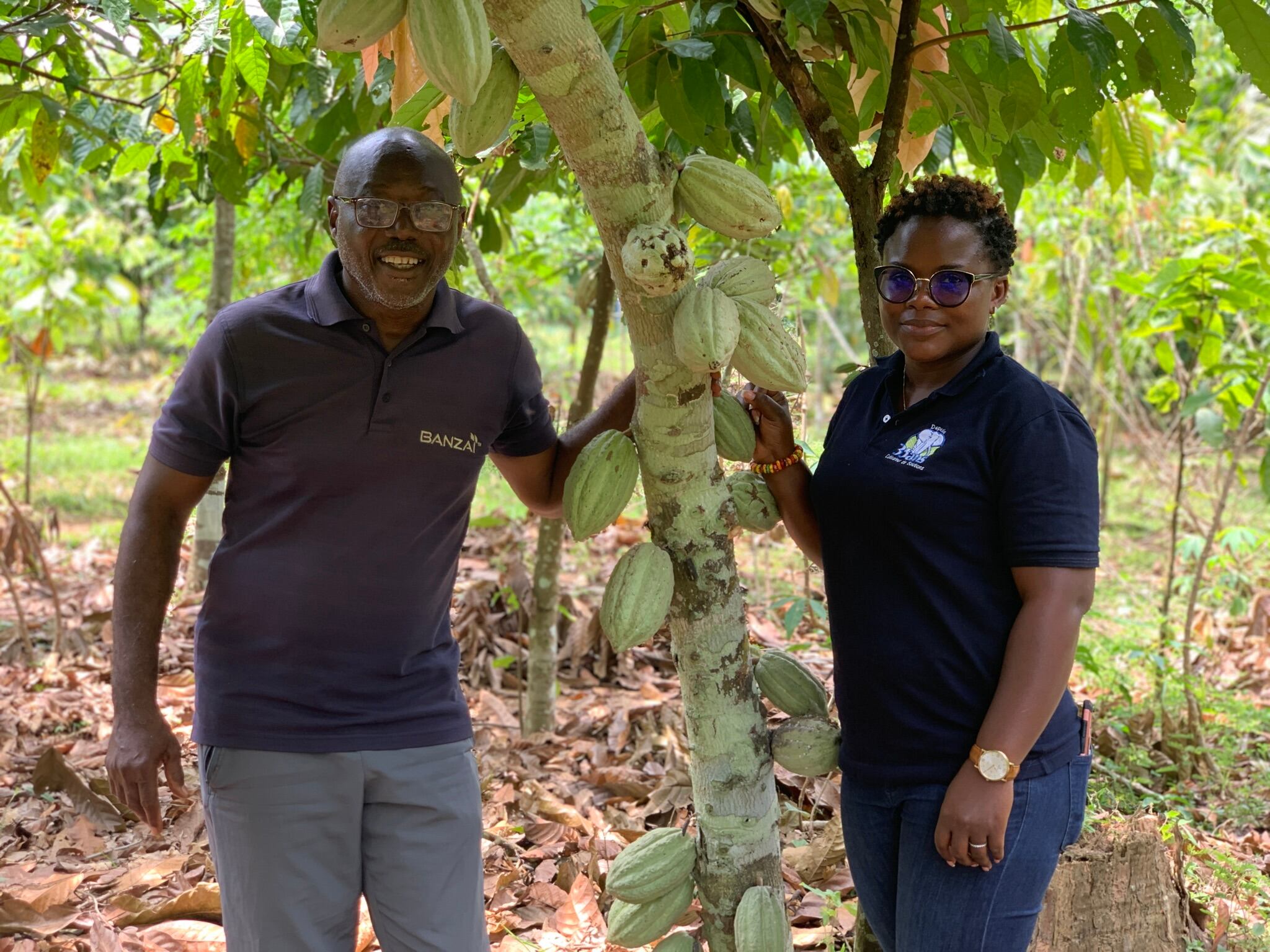 UPL-reports-success-in-achieving-Cocoa-Forests-Initiative-goals.jpg
