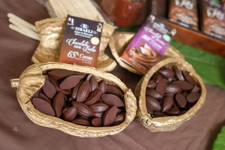 Costa Rica introduces new National Cacao Plan to boost productivity and profile