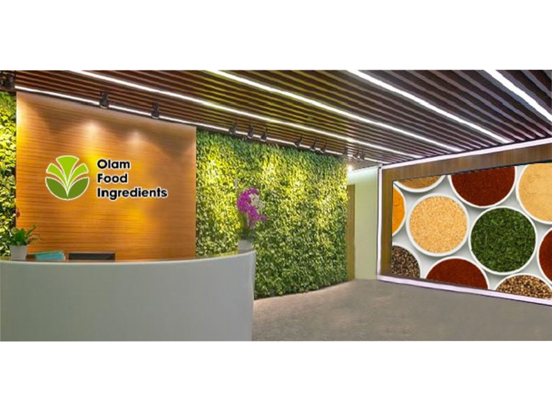 Olam appoints Niall FitzGerald as new chair of OFI