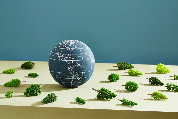 EU agrees deforestation law 