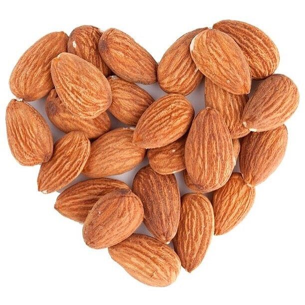 Ibizkus Wines joins campaign to save Ibiza’s dying almond trees