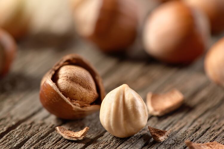 Closing the loop in chocolate: Barry Callebaut collaborates on ‘ground-breaking’ process to turn hazelnut shells into vanillin