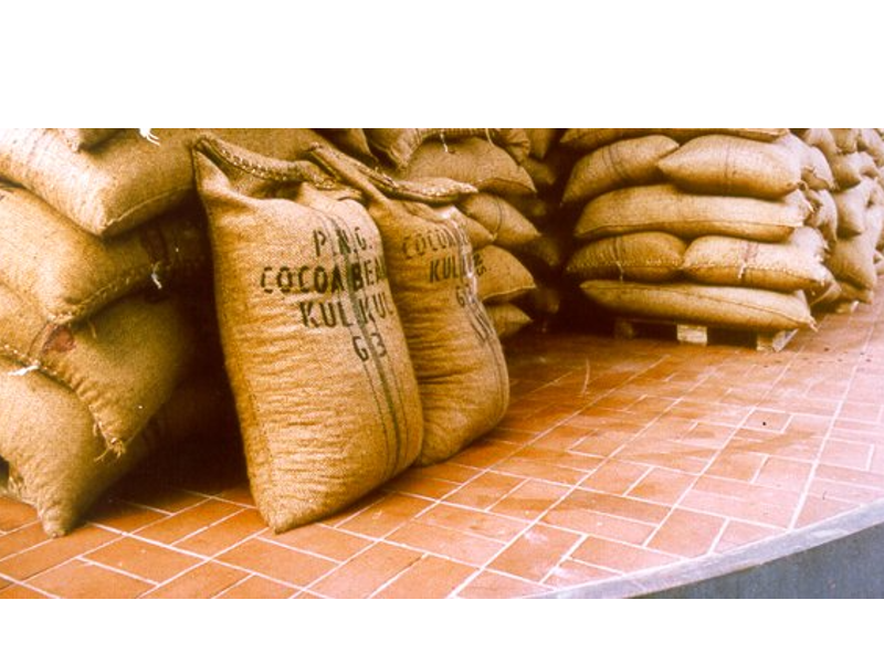 ICE set to launch Traceability Service to ready cocoa sector for EU Deforestation Regulation compliance