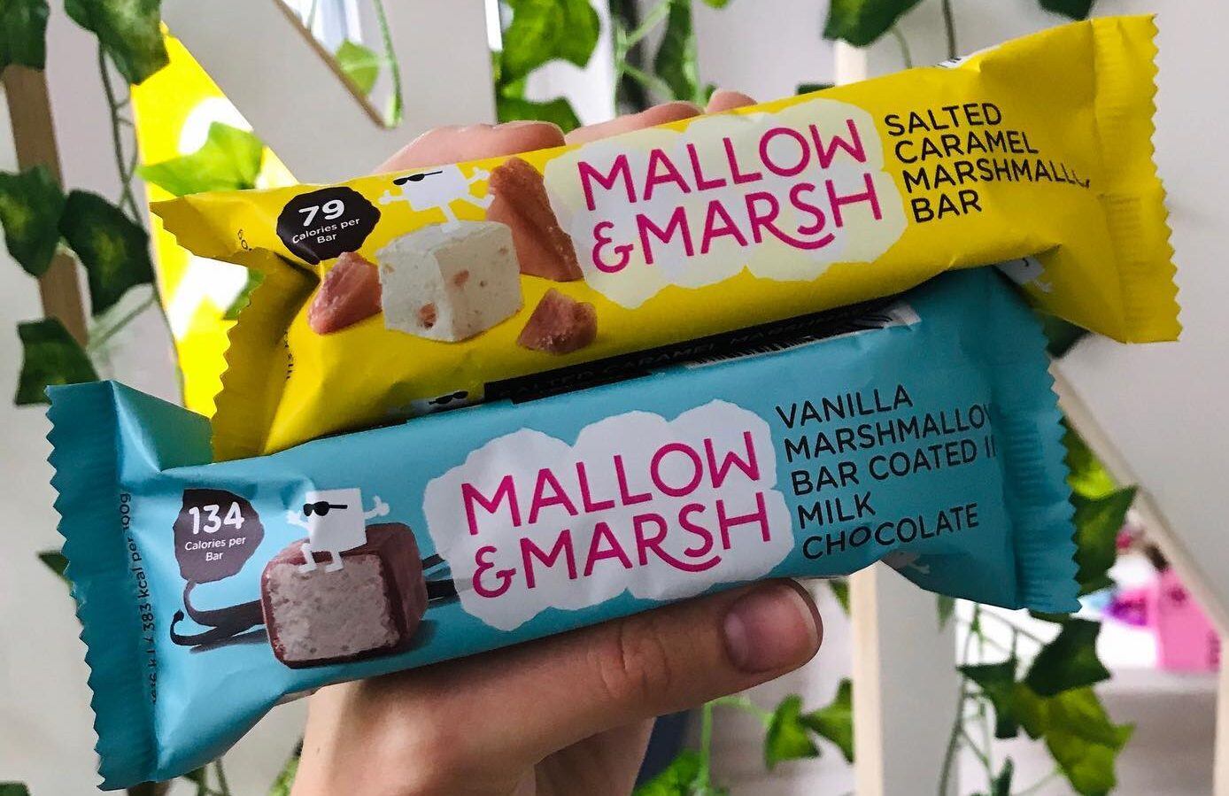 Serious-Sweets-Company-acquires-Mallow-Marsh.jpg