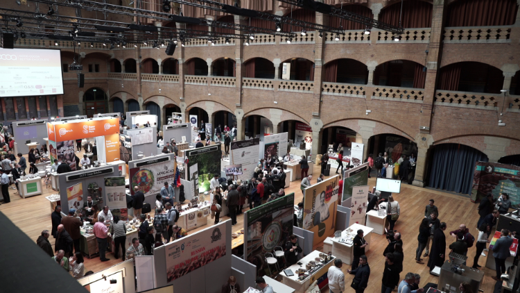 chocoa-2020-exhibitors-750.png