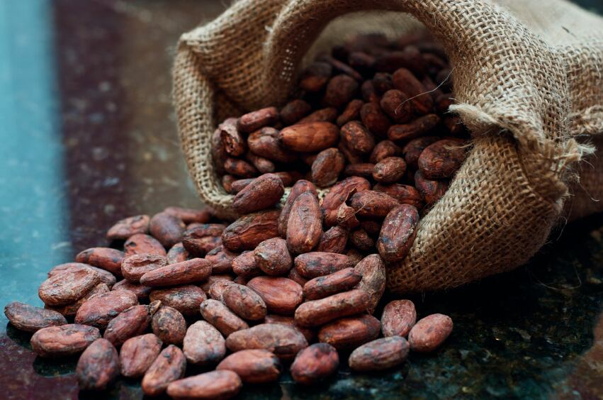 cocoa-bag_istock.jpg