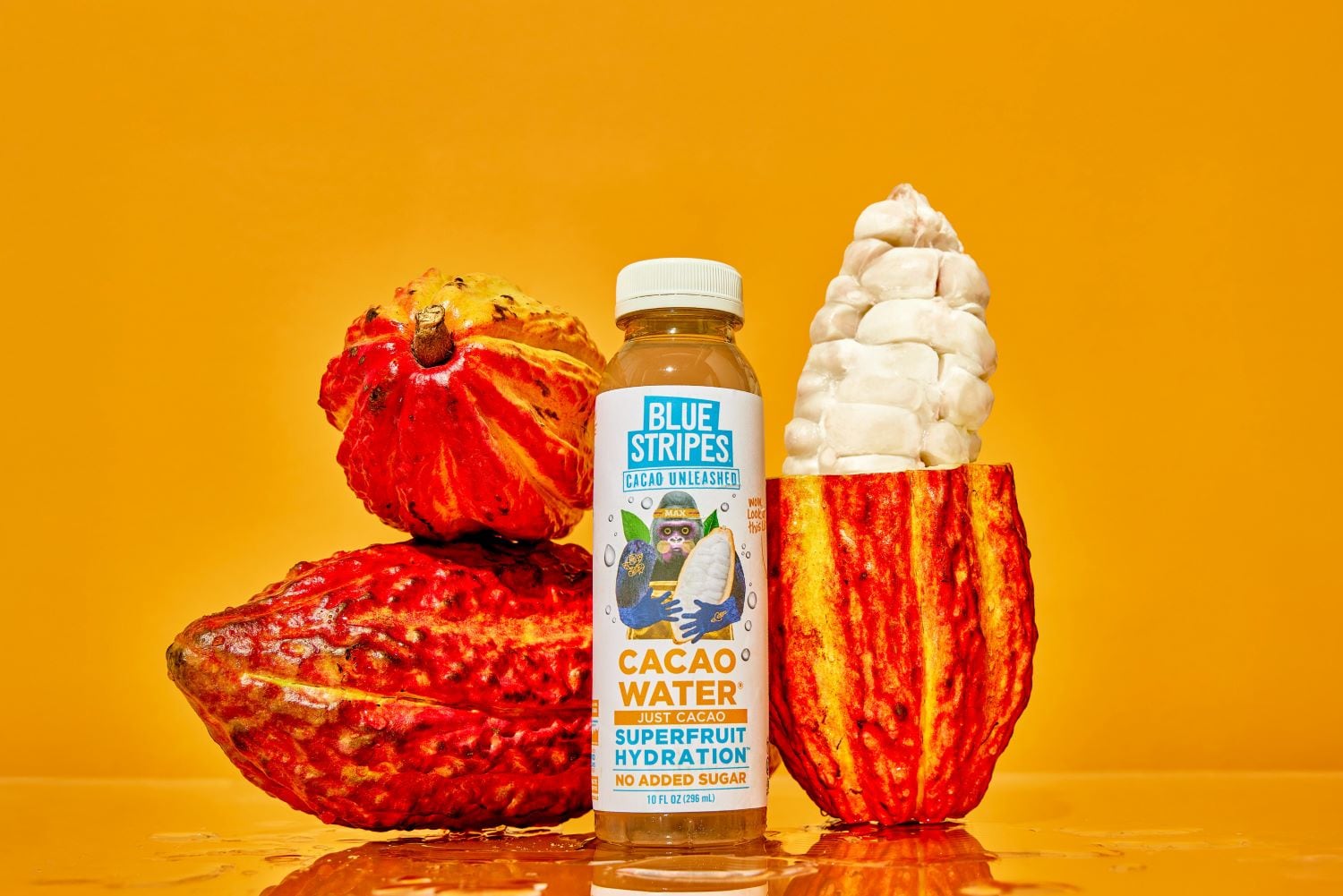 Blue-Stripes-cacao-water.jpg