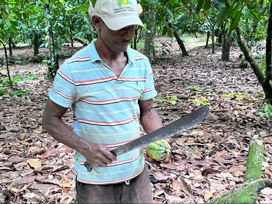 Living income, EUDR, and Regenerative Agriculture on the table at World Cocoa Conference 2024