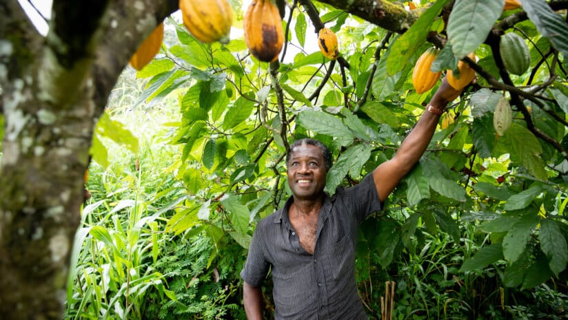 New approach puts farmers at the center of crop testing