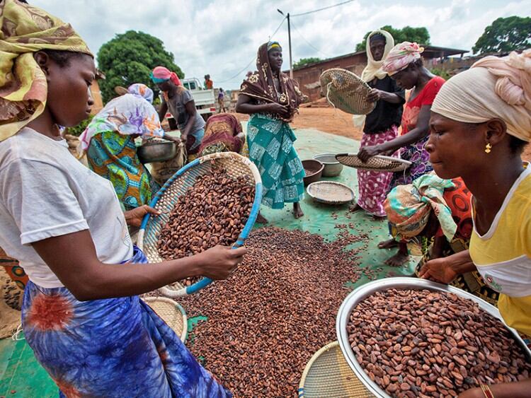 Simplifying sustainability: How brands can establish sustainable supply chain practices