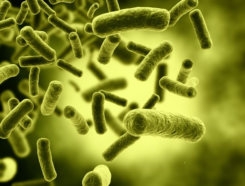 probiotics.jpg