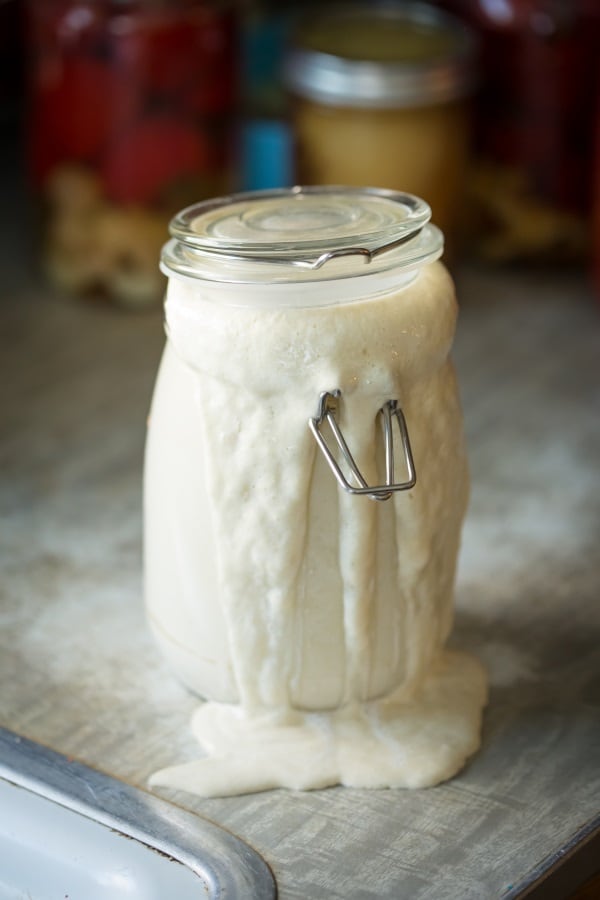 Sourdough-starter-bydesignvisuals.jpg