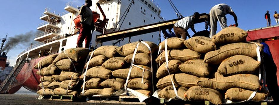cocoa-at-port-finamore.jpg