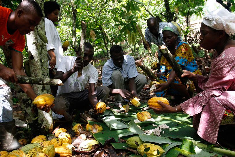 Germany at forefront as a ‘Driver of Change’ in cocoa sector as host of WCF Partnership Meeting