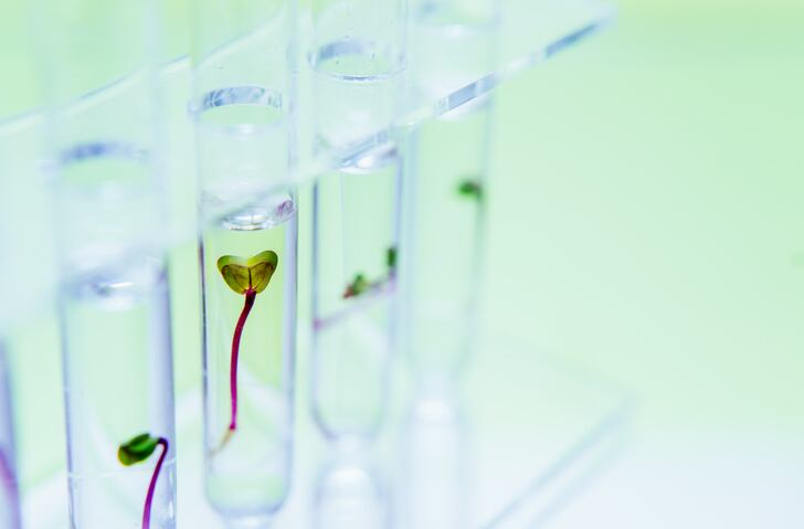 From securing cross-sector collaboration to managing red tape: tips for food tech start-ups traversing today’s headwinds