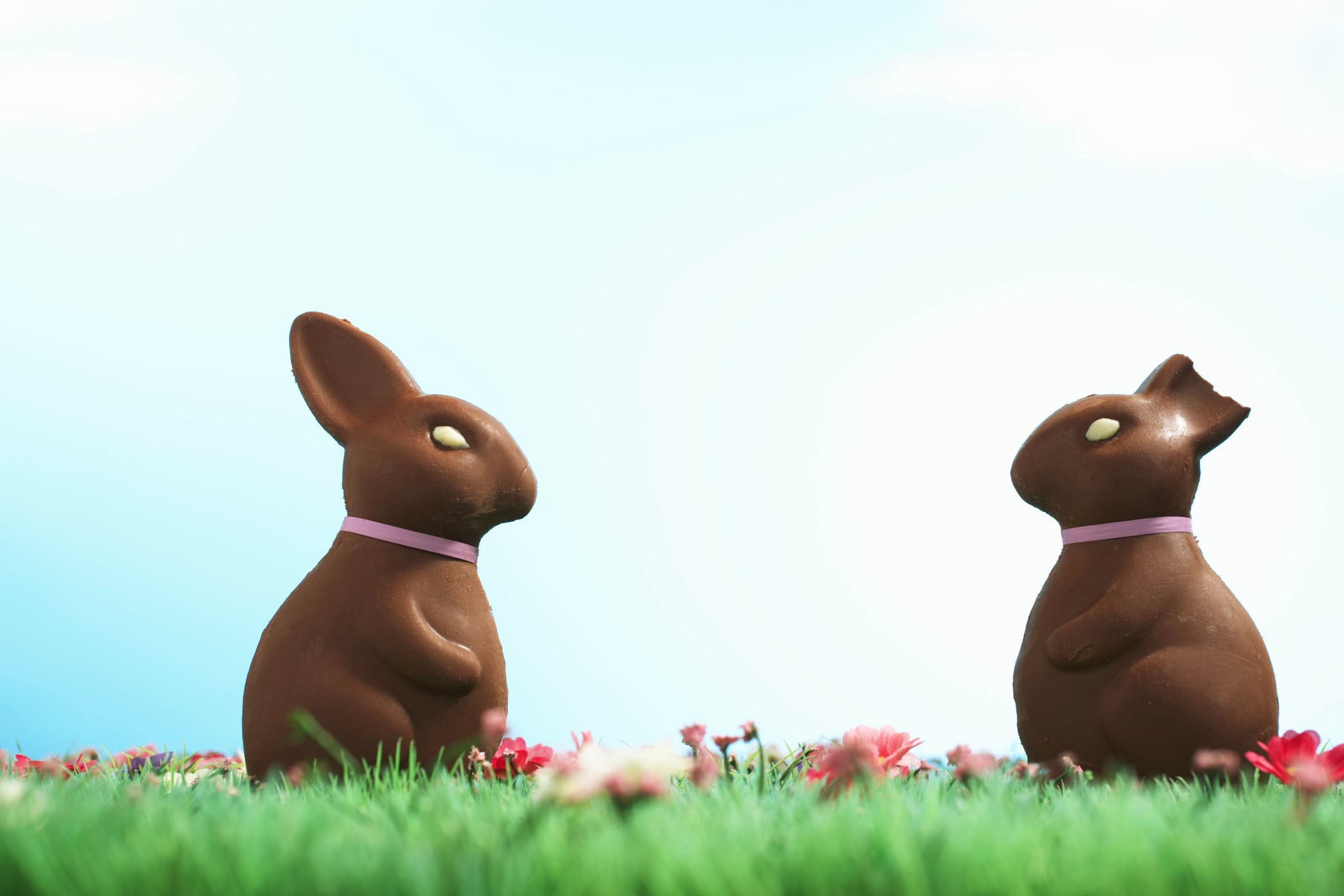 Chocolate takes centre stage at the White House Easter Egg Roll 2025