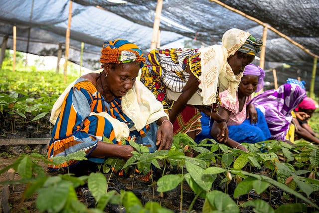 nestle-female-cocoa-farmers.jpg