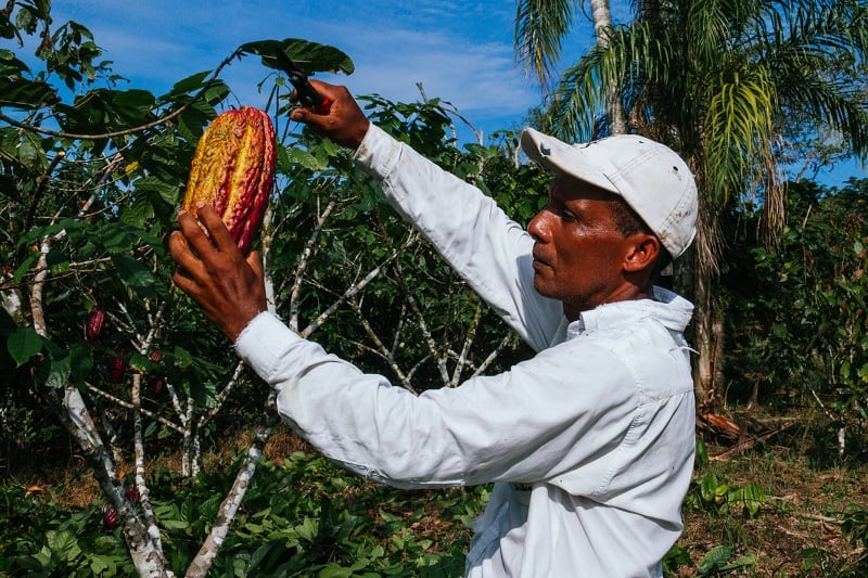 'We are helping to build positive narratives for our customers': Olam discusses its sustainability platform AtSource