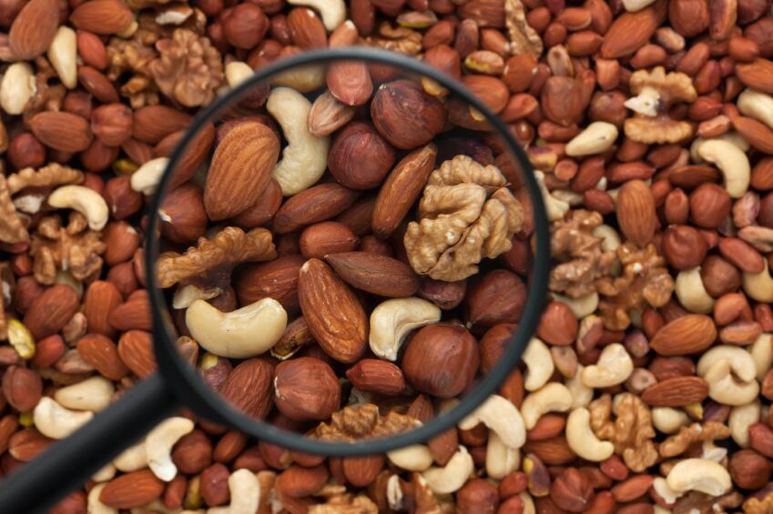 nuts-protein-ingredient.jpg