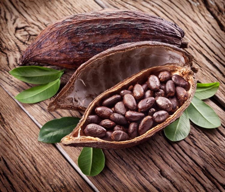 cocoa-pod_purchased.jpg